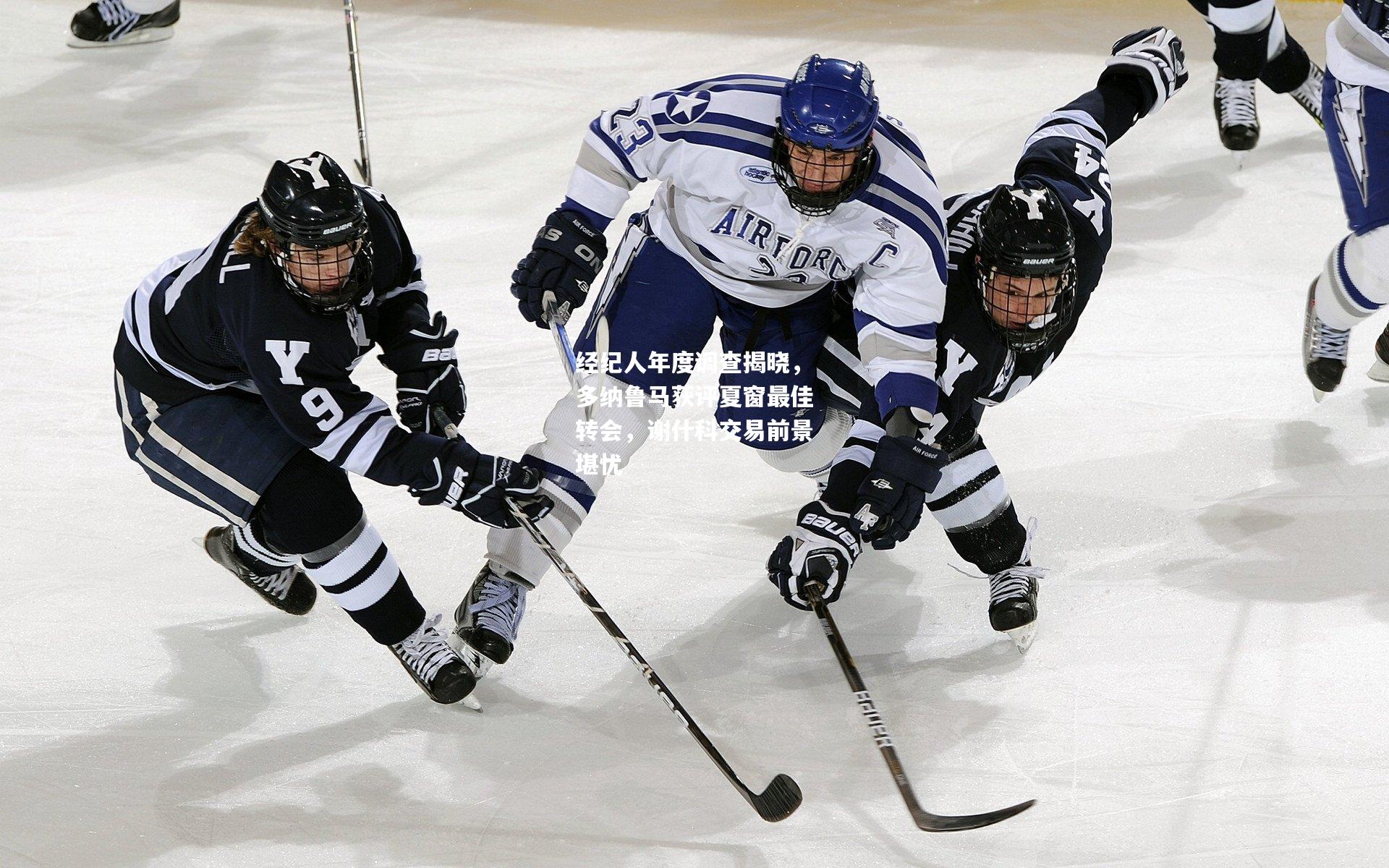 经纪人年度调查揭晓，多纳鲁马获评夏窗最佳转会，谢什科交易前景堪忧